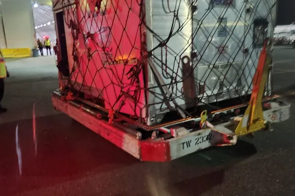 Horse airport shipping container