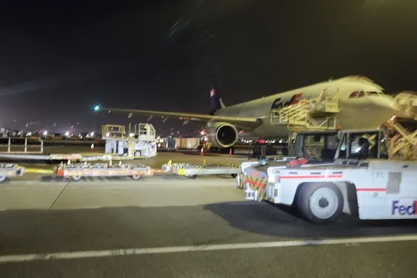 Horse transport at the airport